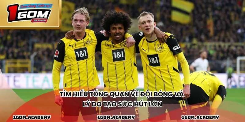 Tìm hiểu tổng quan về đội bóng và lý do tạo sức hút lớn