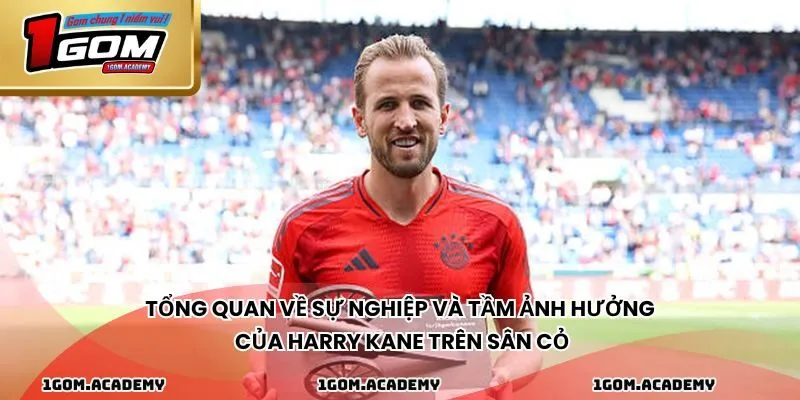 Tổng quan về sự nghiệp và tầm ảnh hưởng của Harry Kane trên sân cỏ